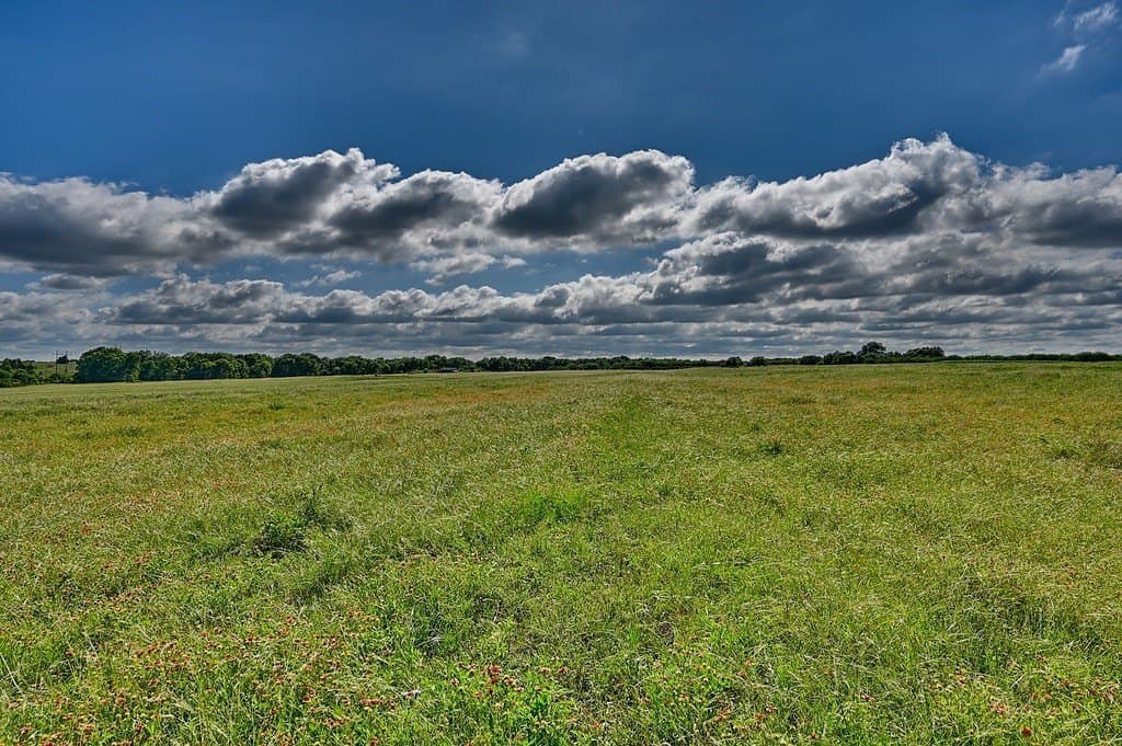 60 acres in Washington County - photo 11