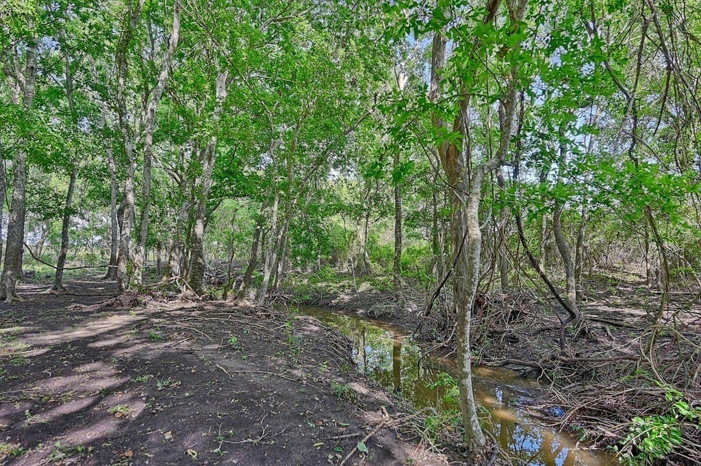 60 acres in Washington County - photo 14