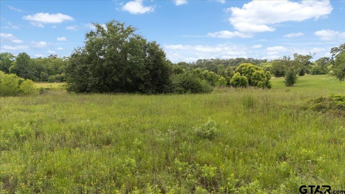 2.66 acres in Smith County - photo 6
