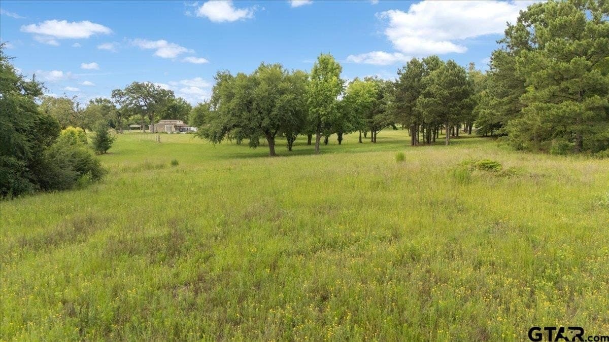 2.66 acres in Smith County gallery image 3