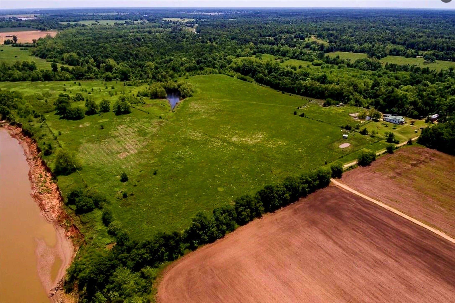 75 acres in Lamar County - photo 6