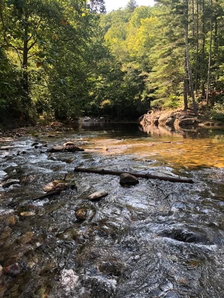 75 acres in Lamar County - photo 24