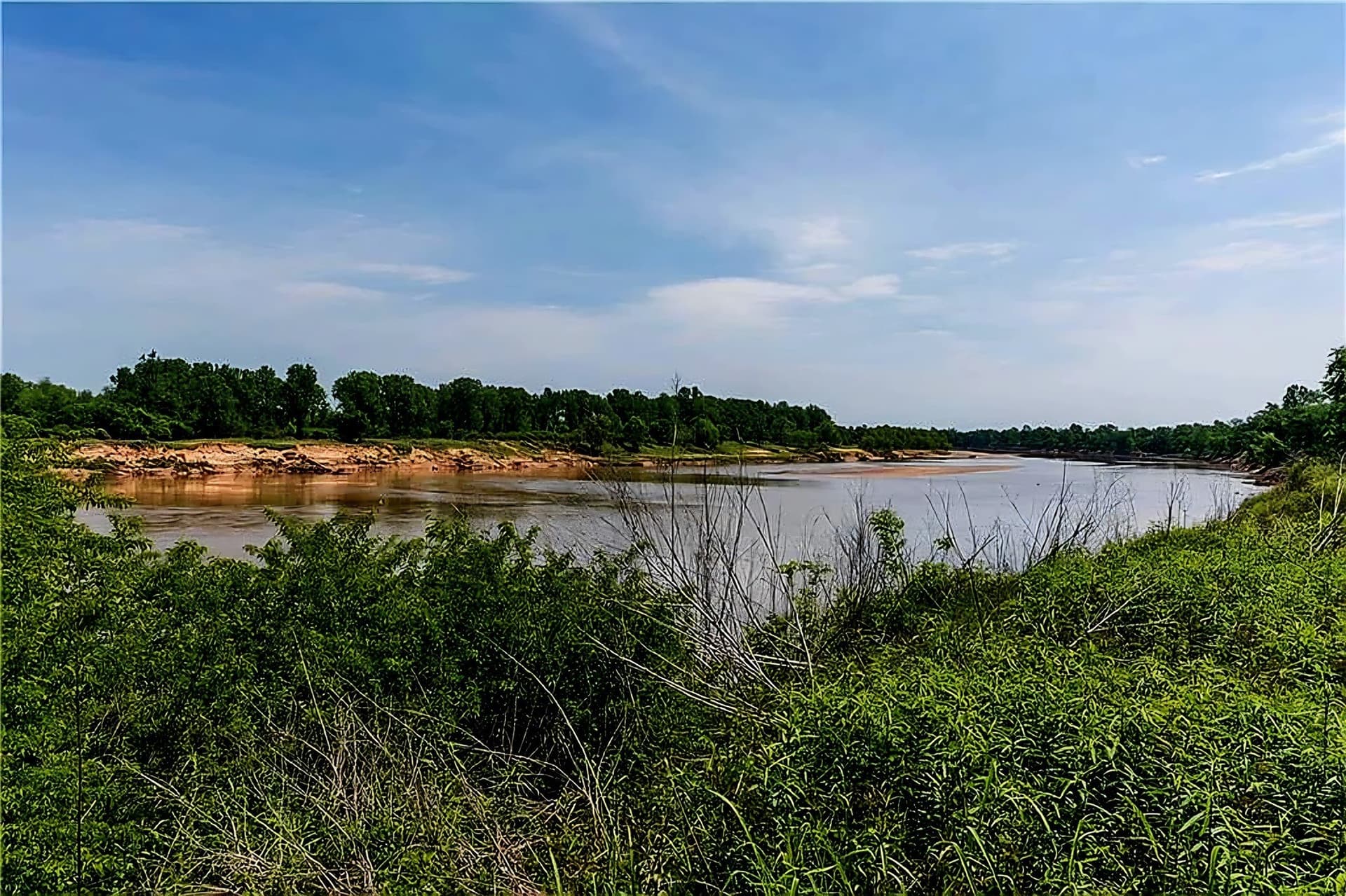 75 acres in Lamar County - photo 26