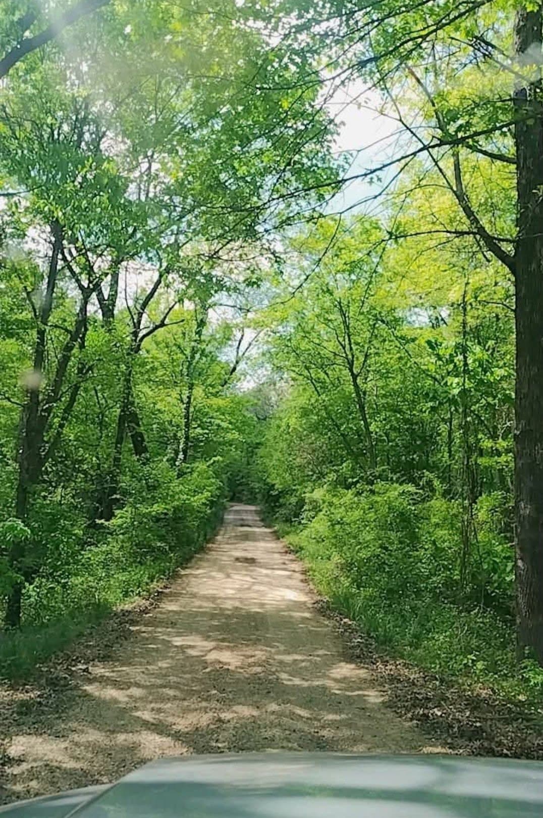 75 acres in Lamar County - photo 4