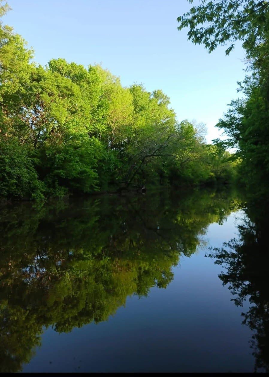 75 acres in Lamar County - photo 3