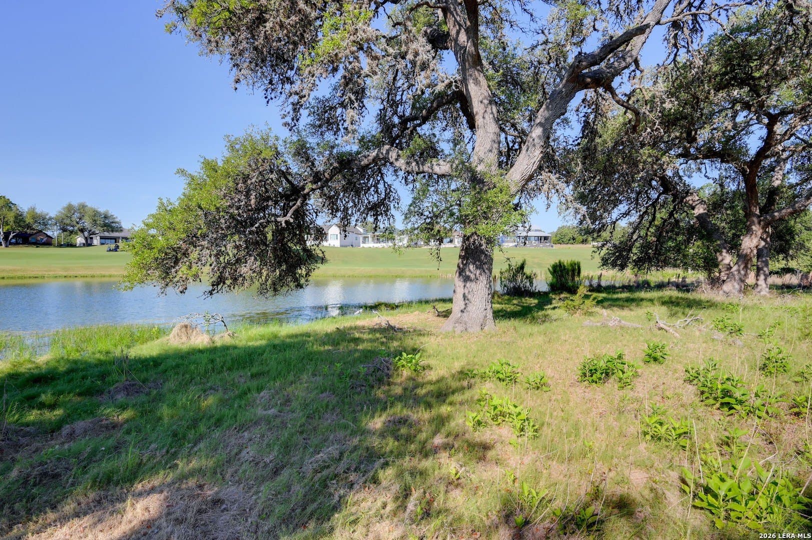 0.24 acres in Blanco County - photo 16