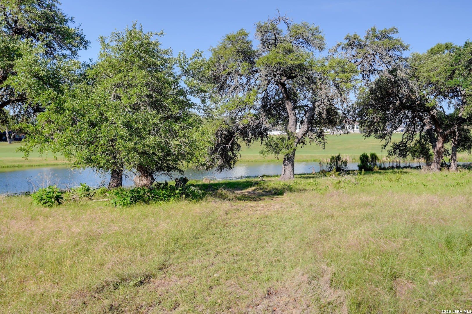 0.24 acres in Blanco County - photo 12