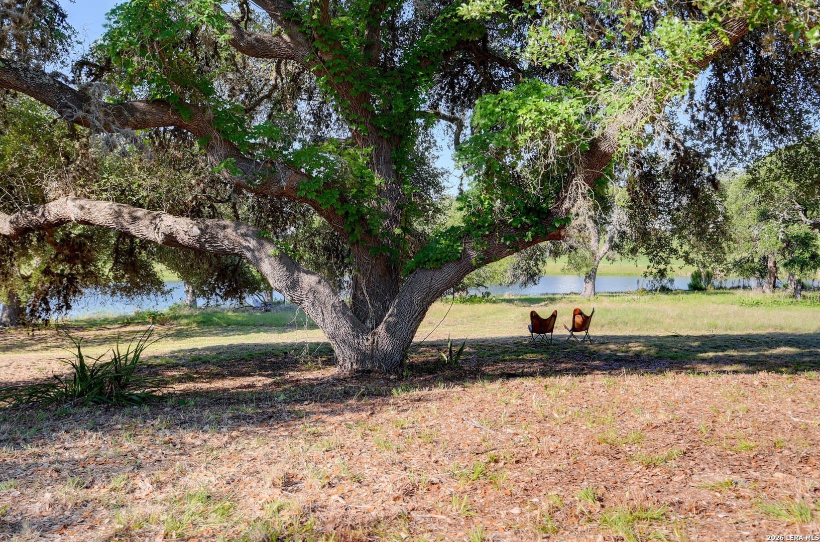 0.24 acres in Blanco County gallery image 4