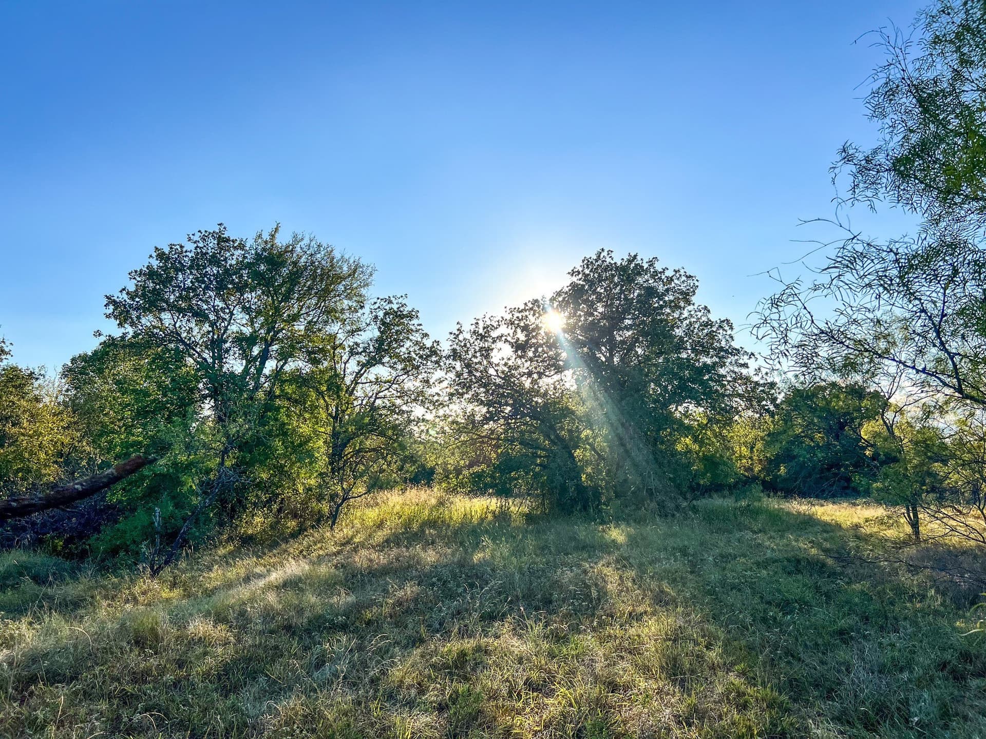 2.57 acres in Parker County - photo 18