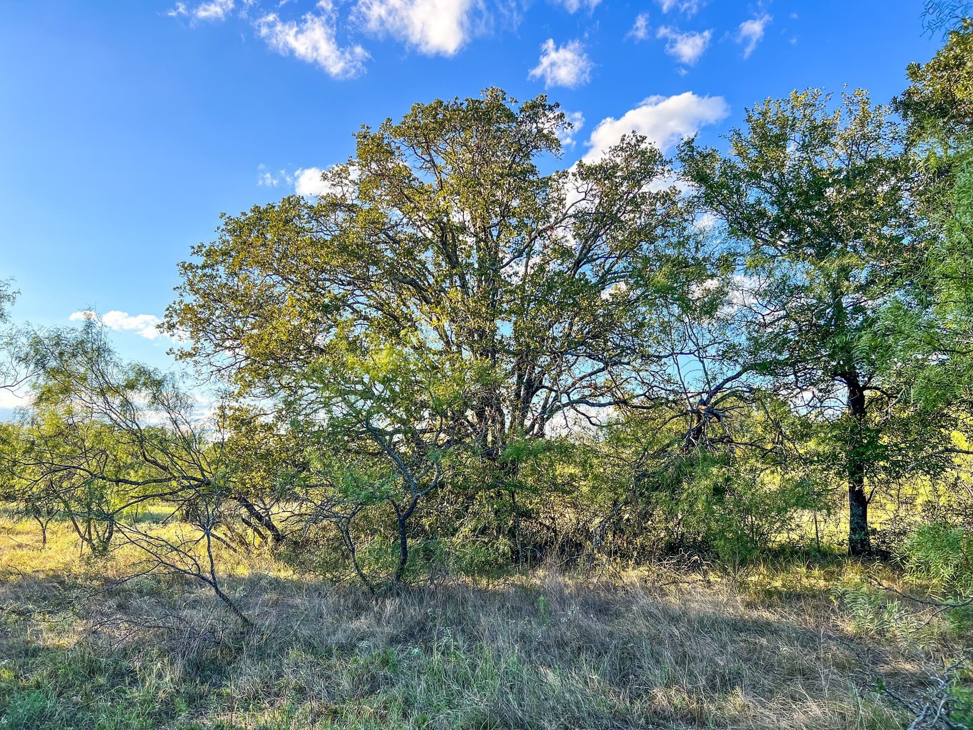2.57 acres in Parker County - photo 19