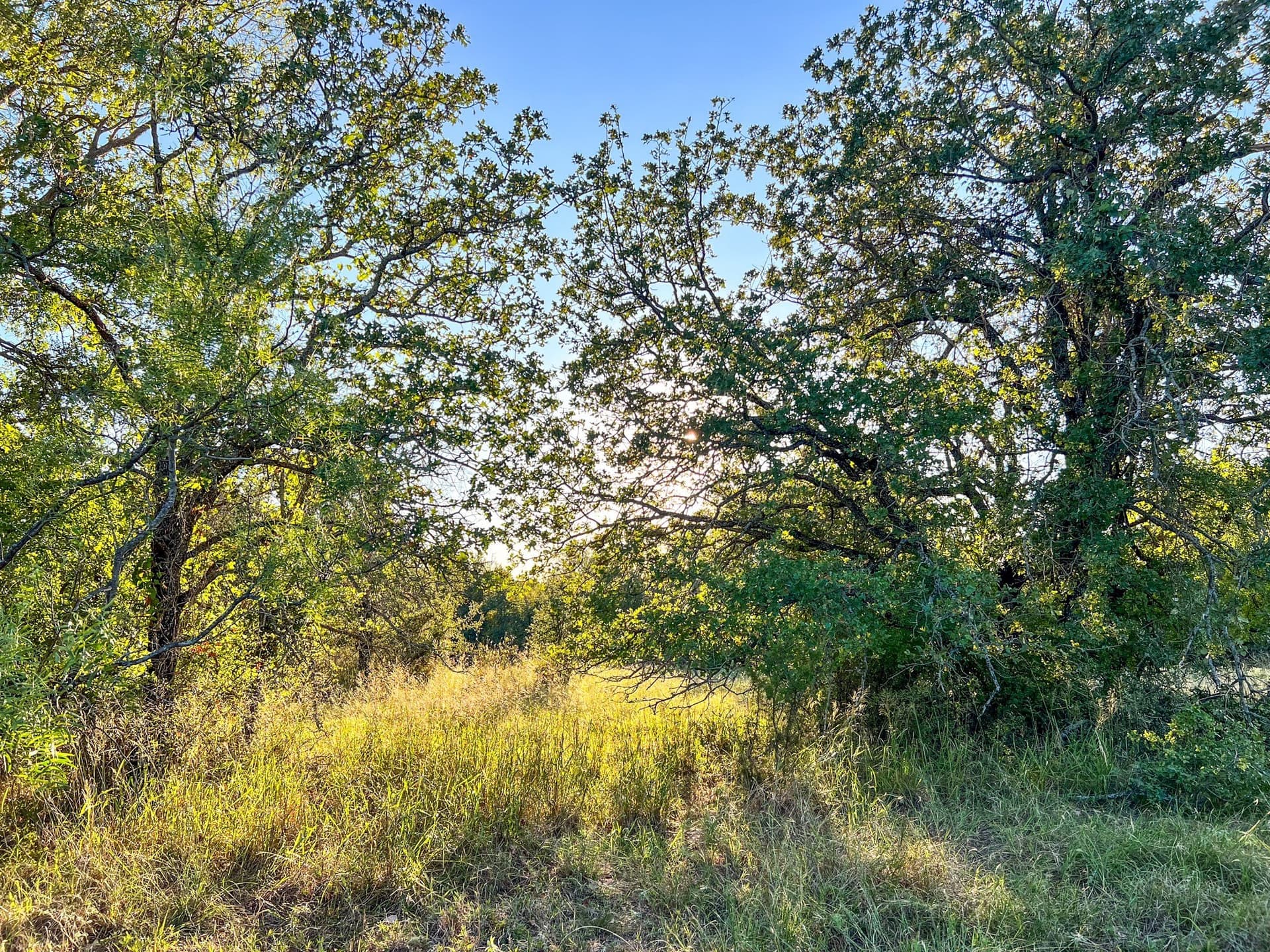 2.57 acres in Parker County - photo 21