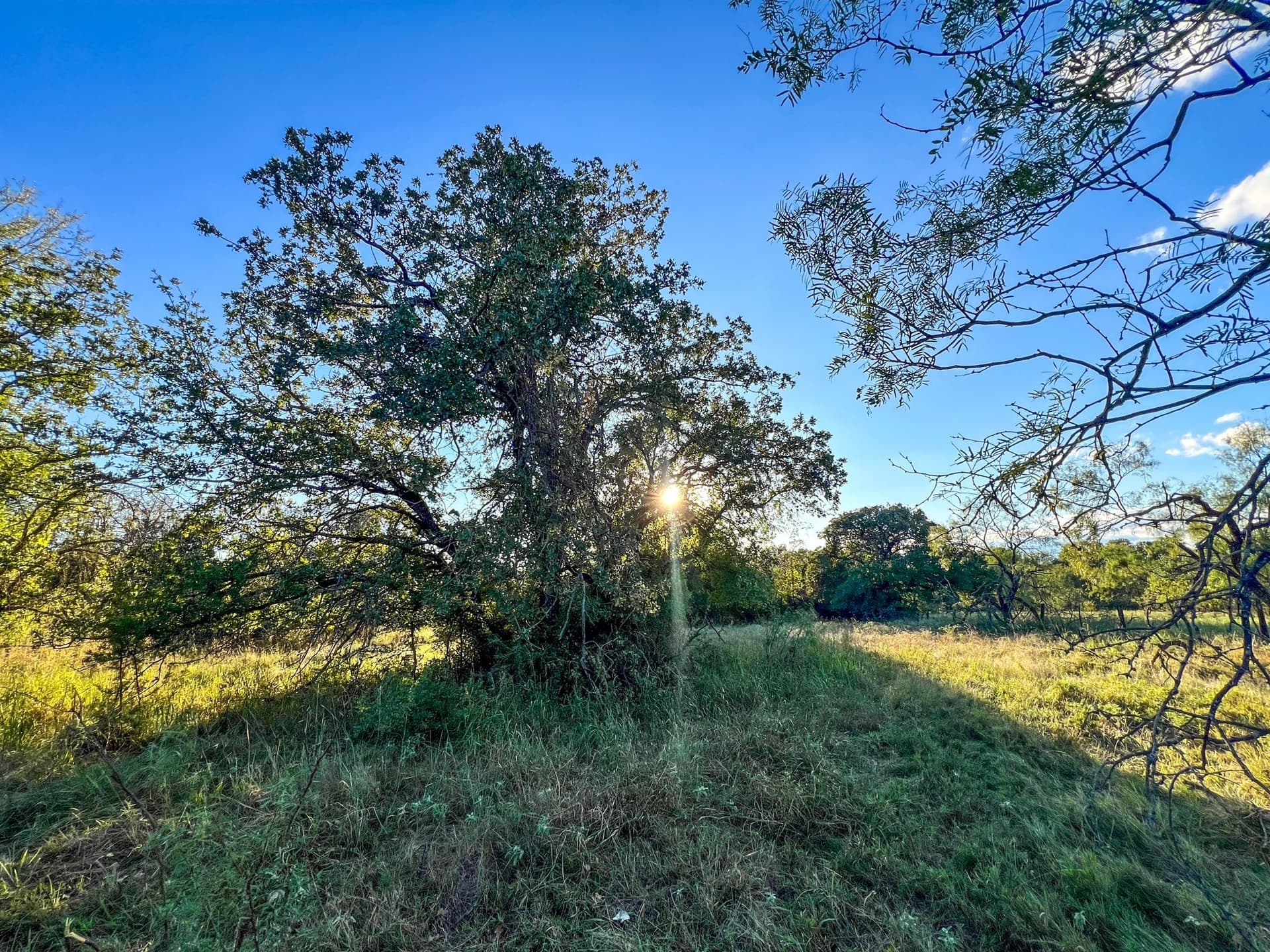 2.57 acres in Parker County - photo 22