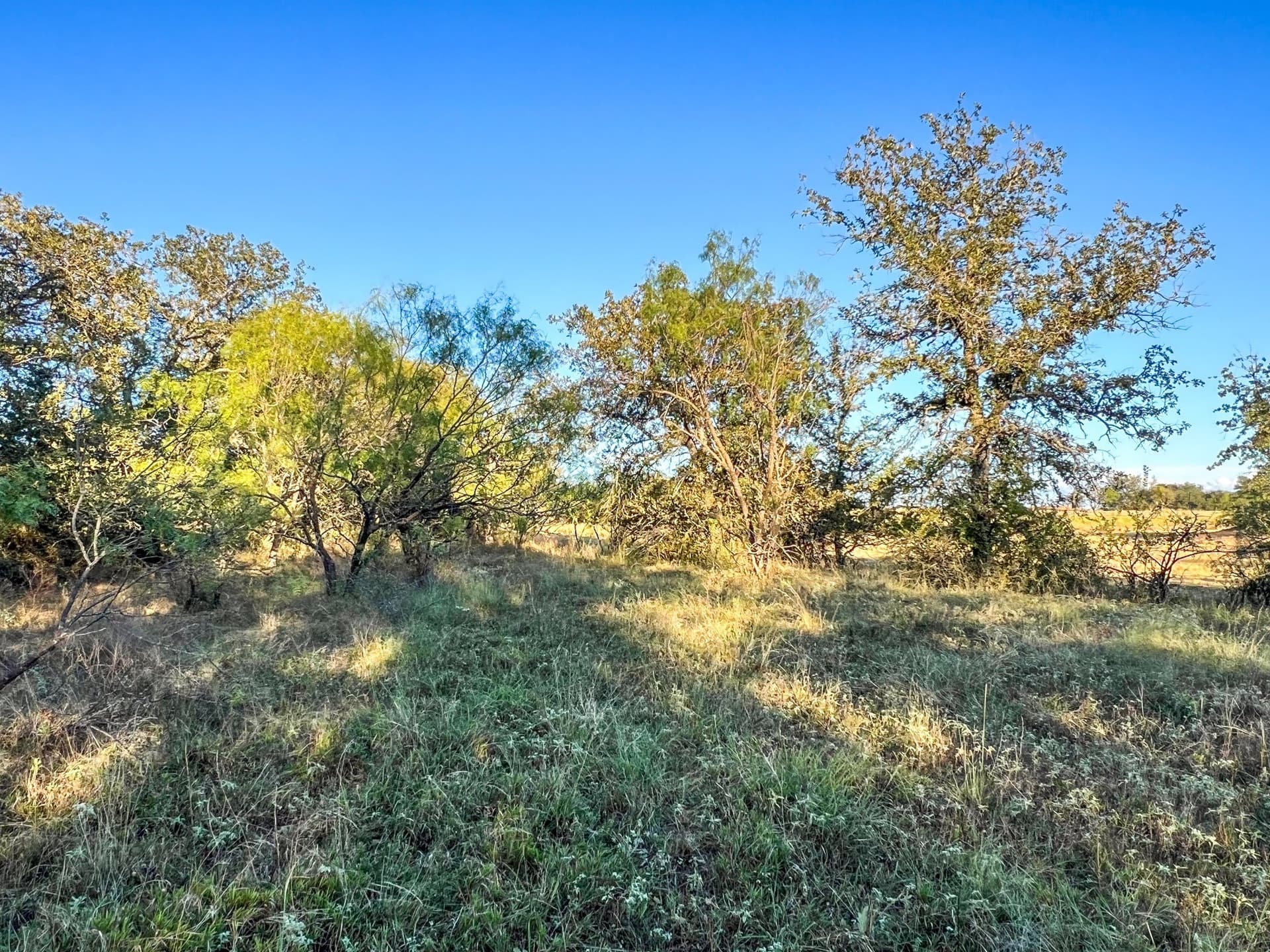 2.57 acres in Parker County - photo 24
