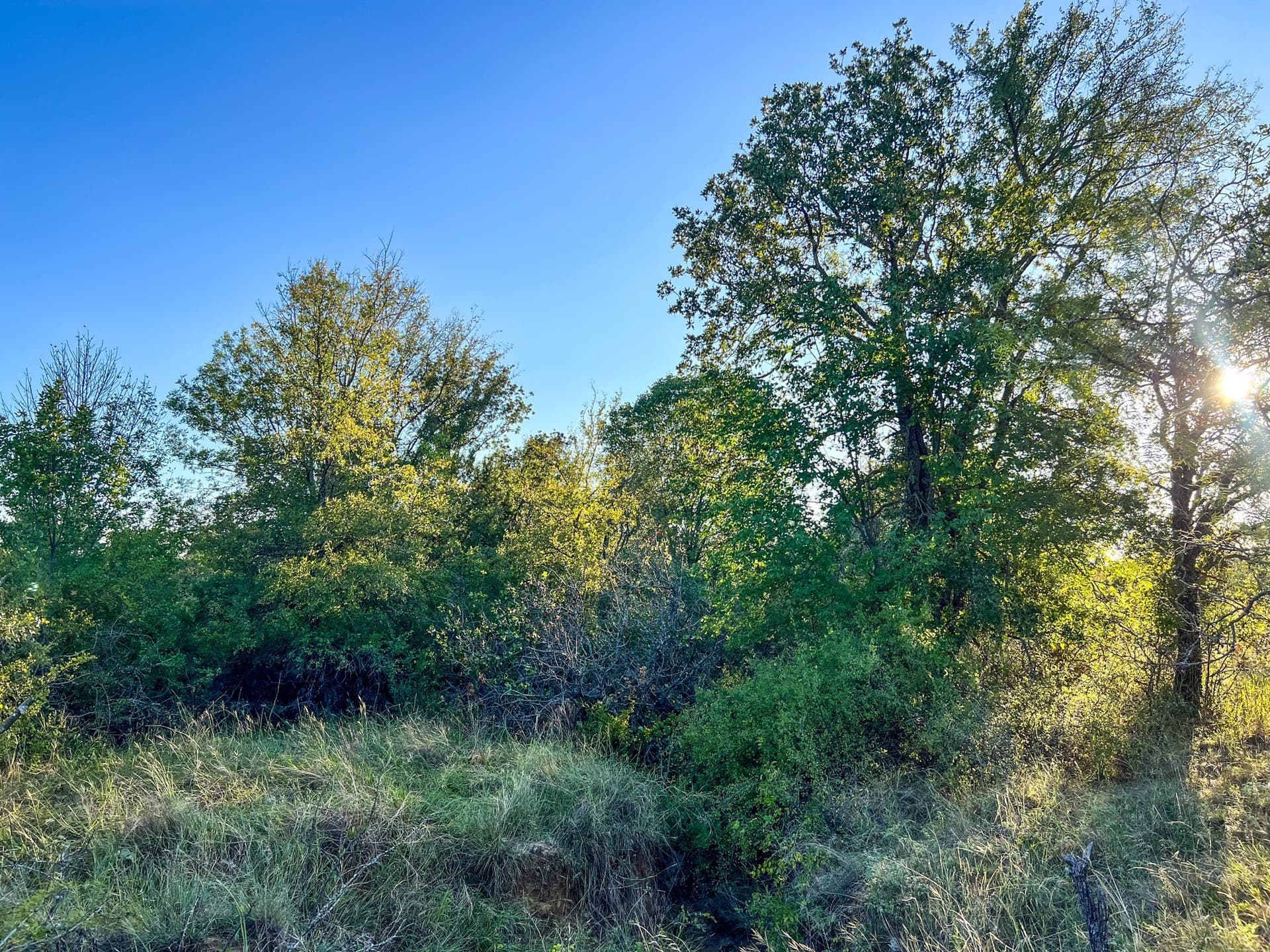 2.57 acres in Parker County - photo 20