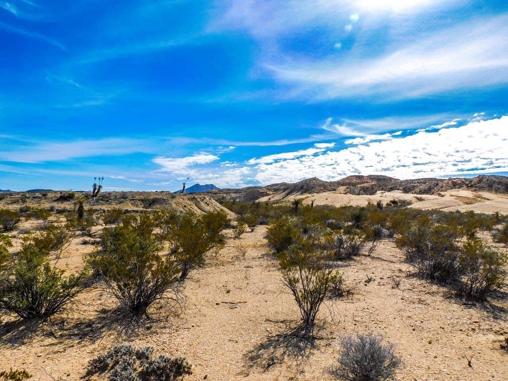 20 acres in Brewster County - photo 11