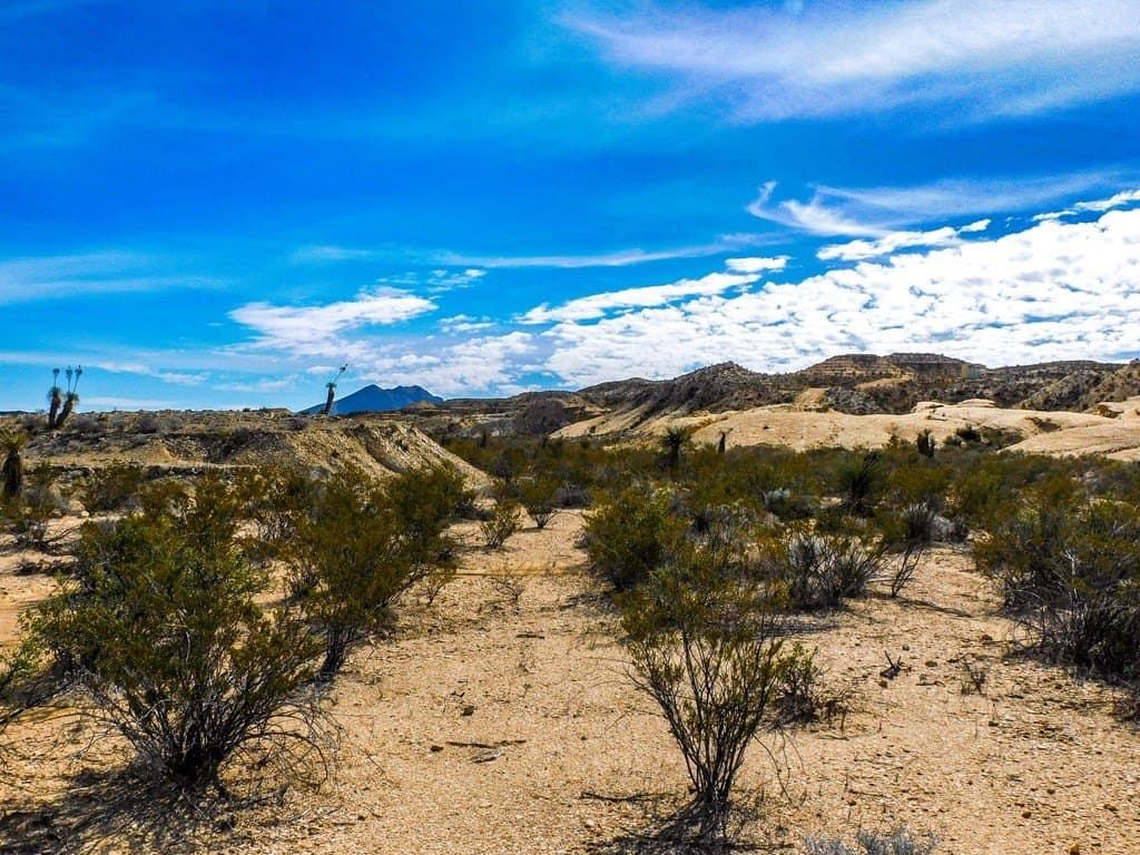 20 acres in Brewster County - photo 12