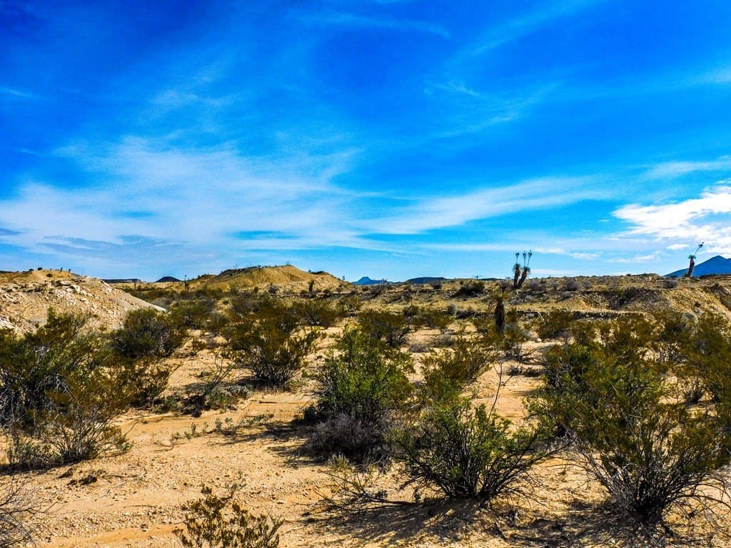 20 acres in Brewster County - photo 13