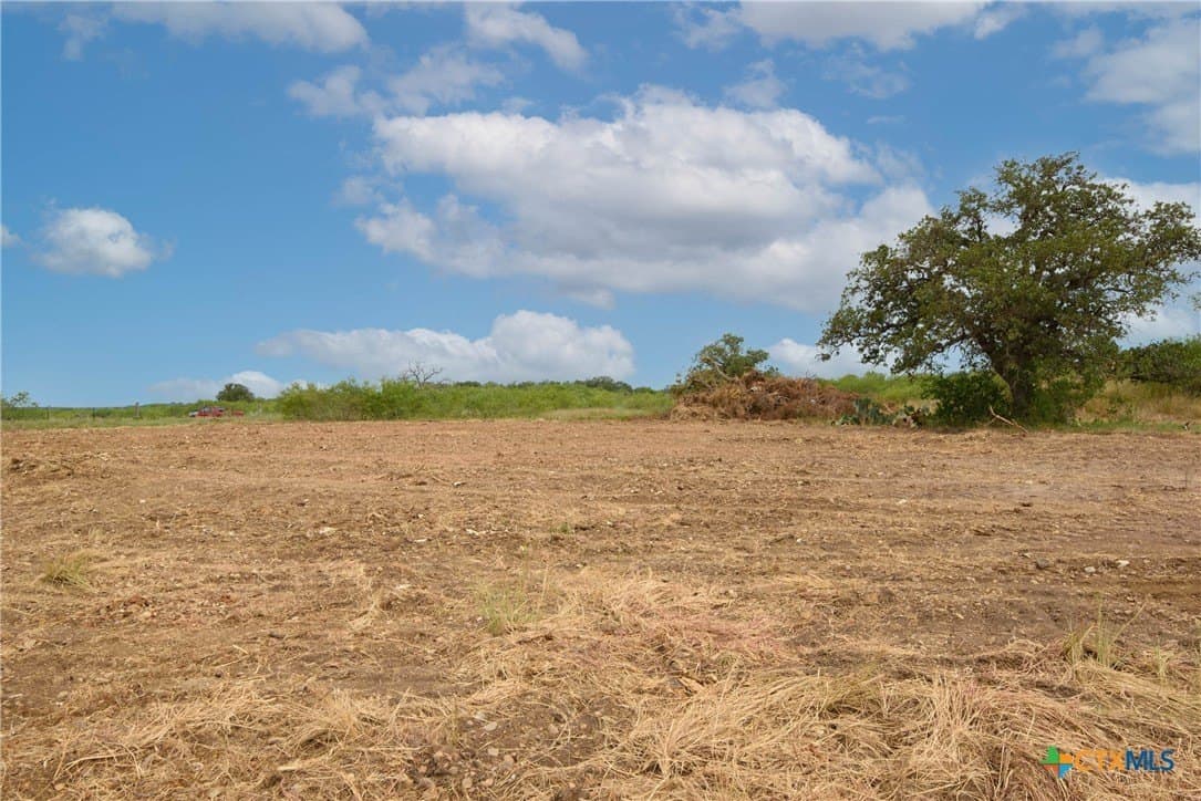 18.51 acres in Gonzales County gallery image 3