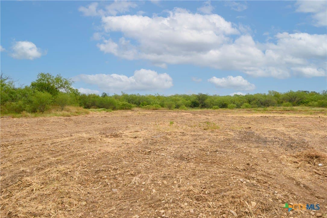 18.51 acres in Gonzales County gallery image 4