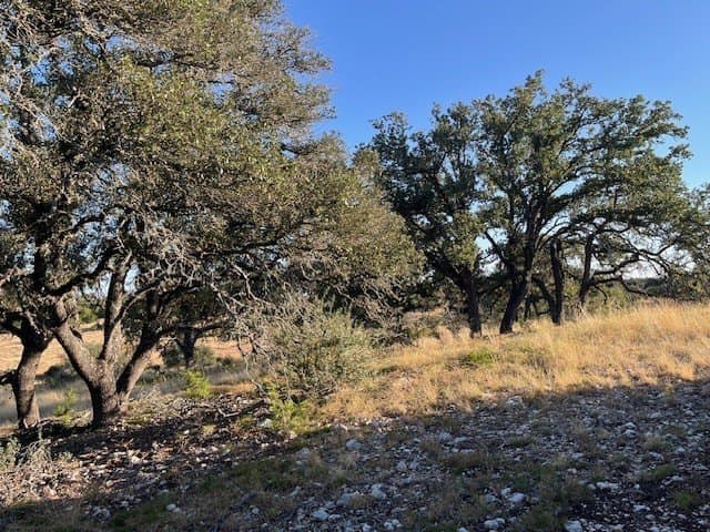 10.02 acres in Gillespie County - photo 5