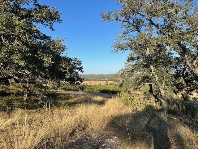 10.02 acres in Gillespie County - photo 2