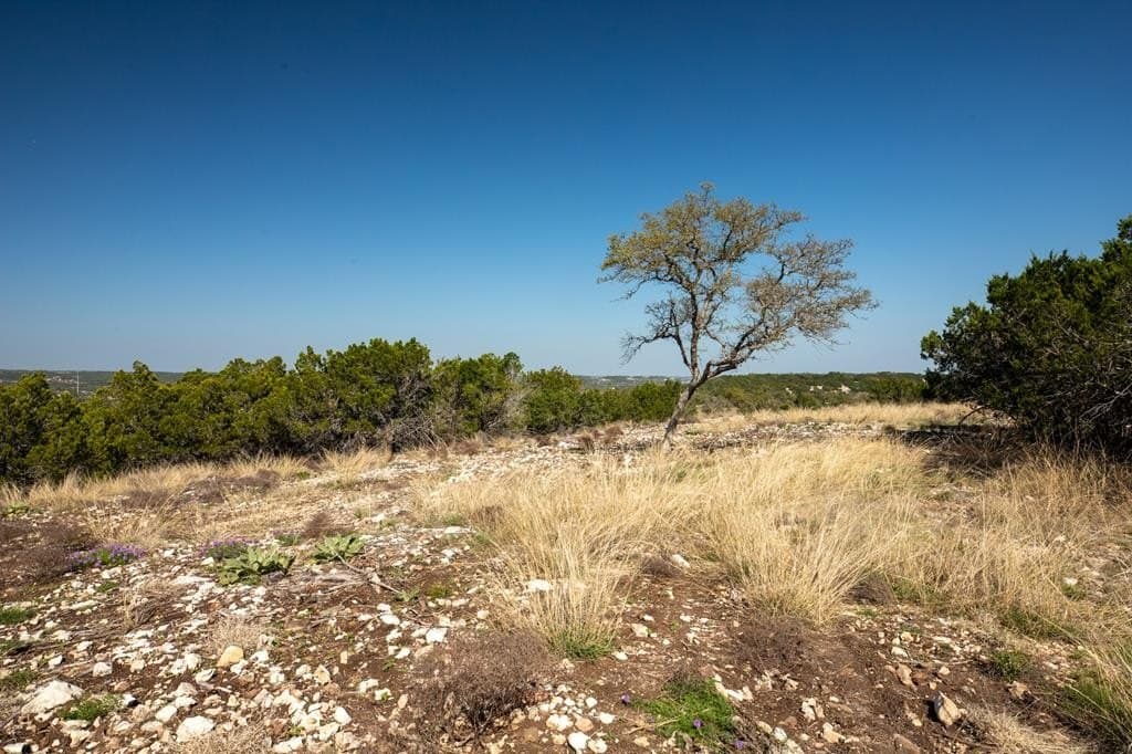 10.02 acres in Gillespie County - photo 9