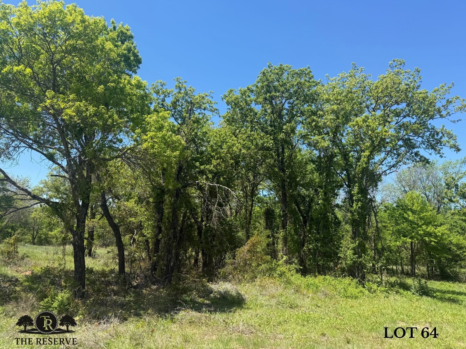 1.98 acres in Parker County - photo 6