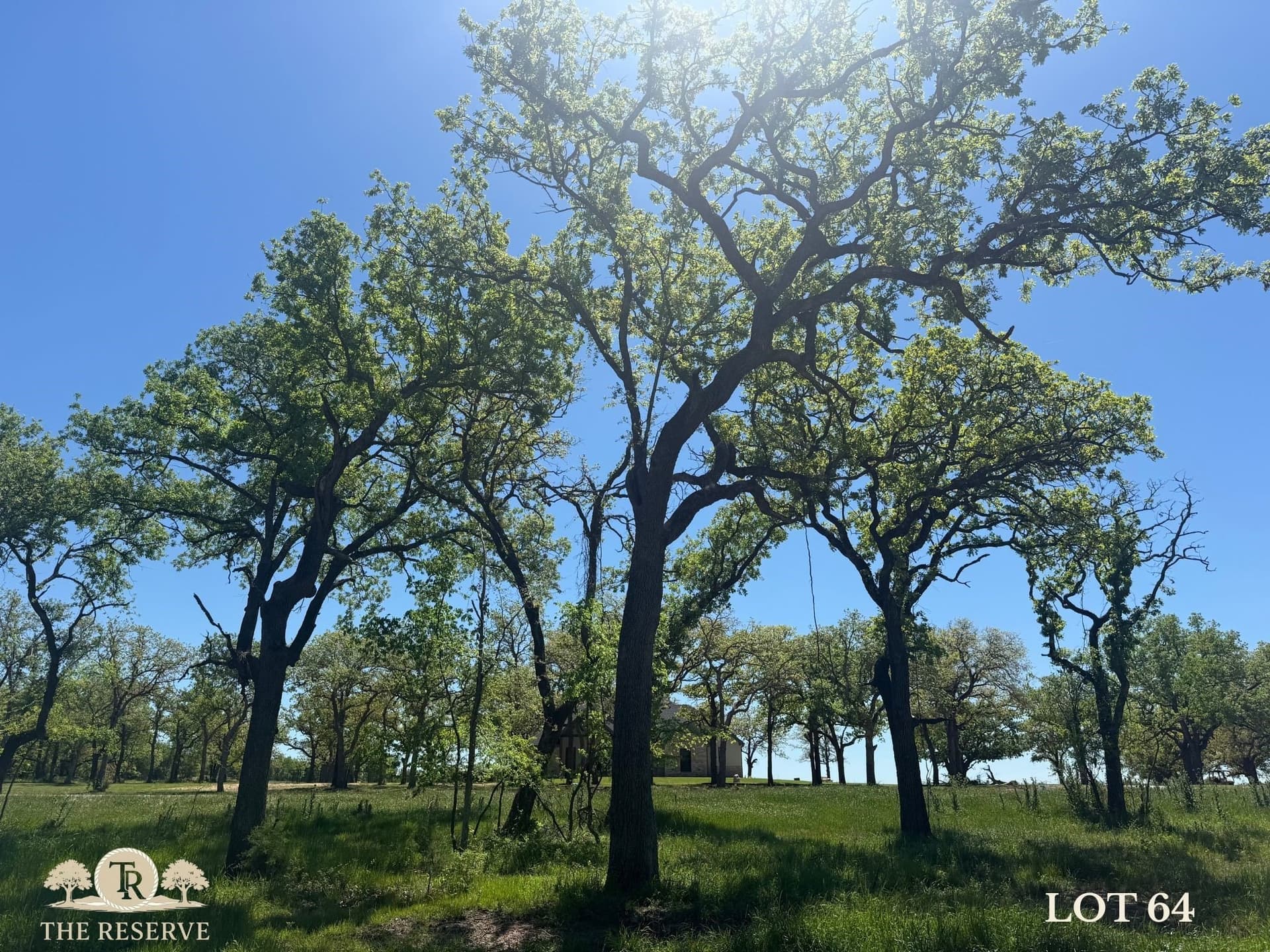 1.98 acres in Parker County - photo 3