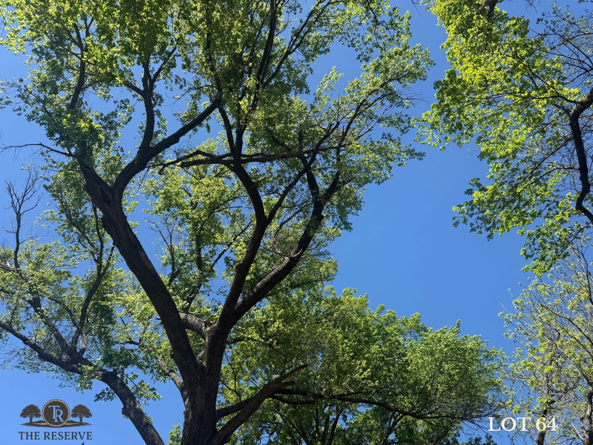 1.98 acres in Parker County - photo 8