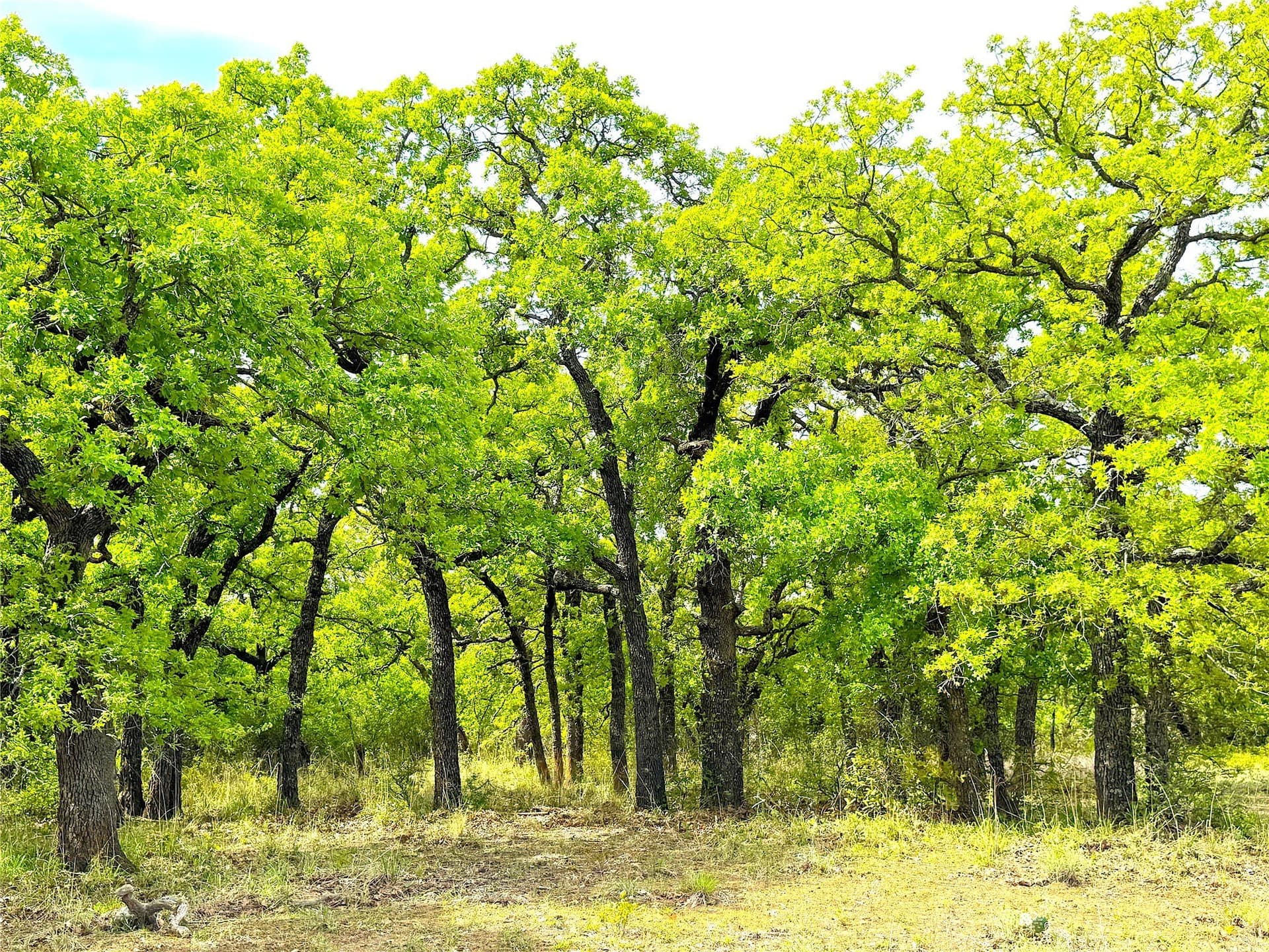 36 acres in Parker County