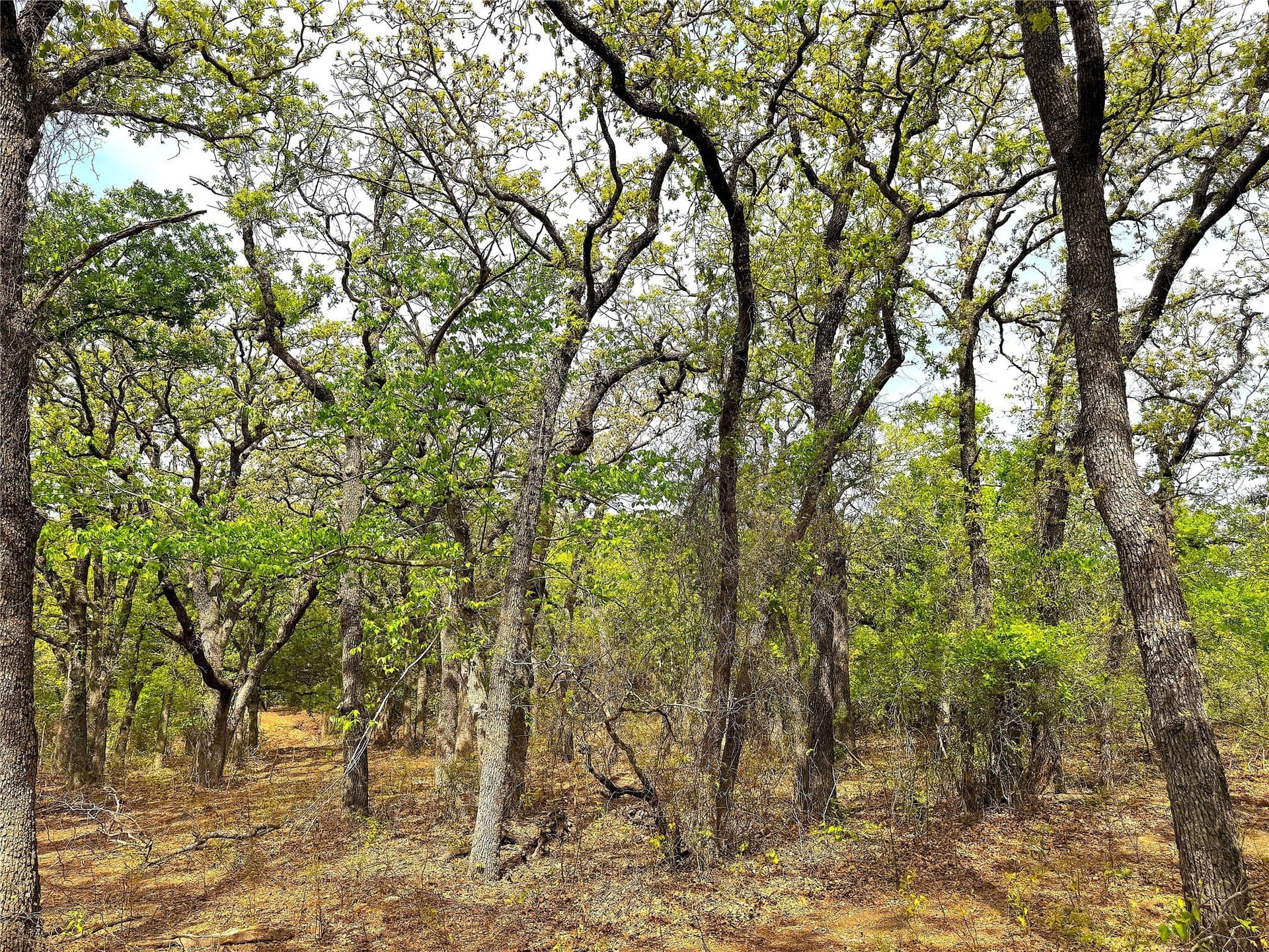 36 acres in Parker County featured view