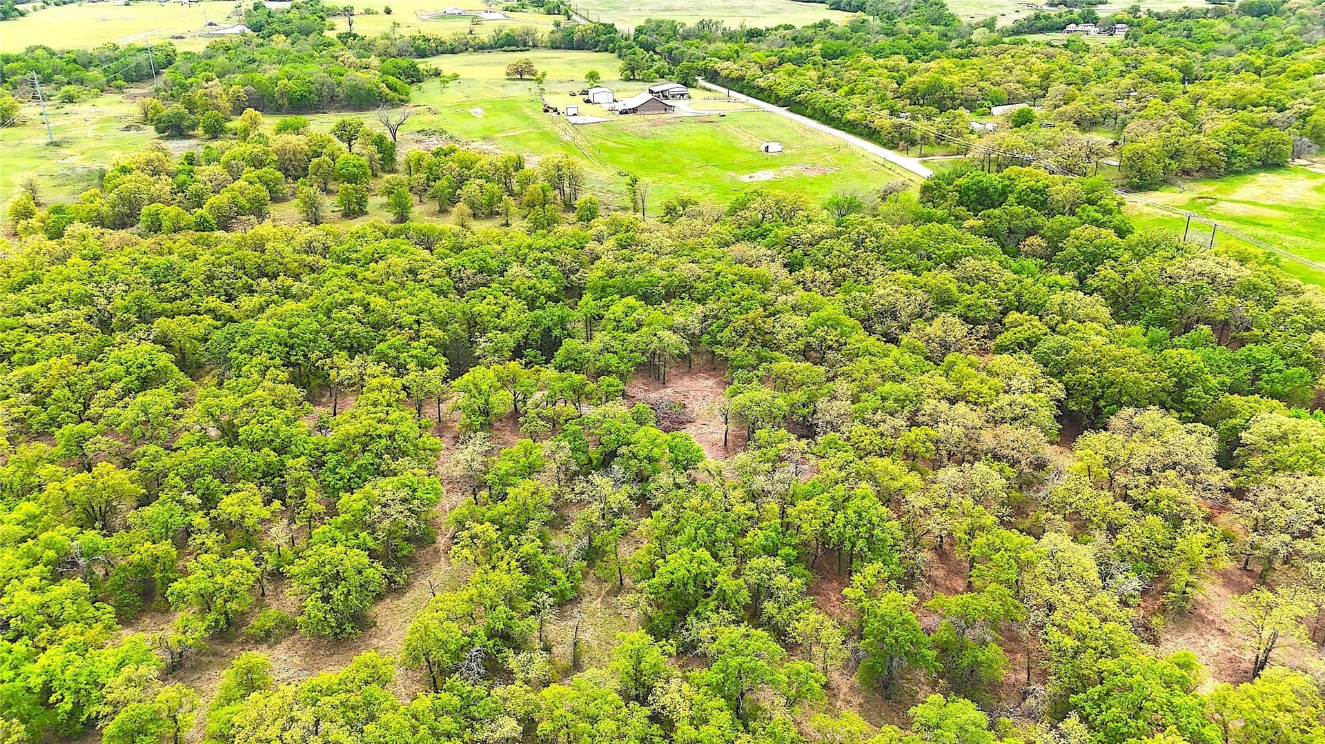 36 acres in Parker County gallery image 4