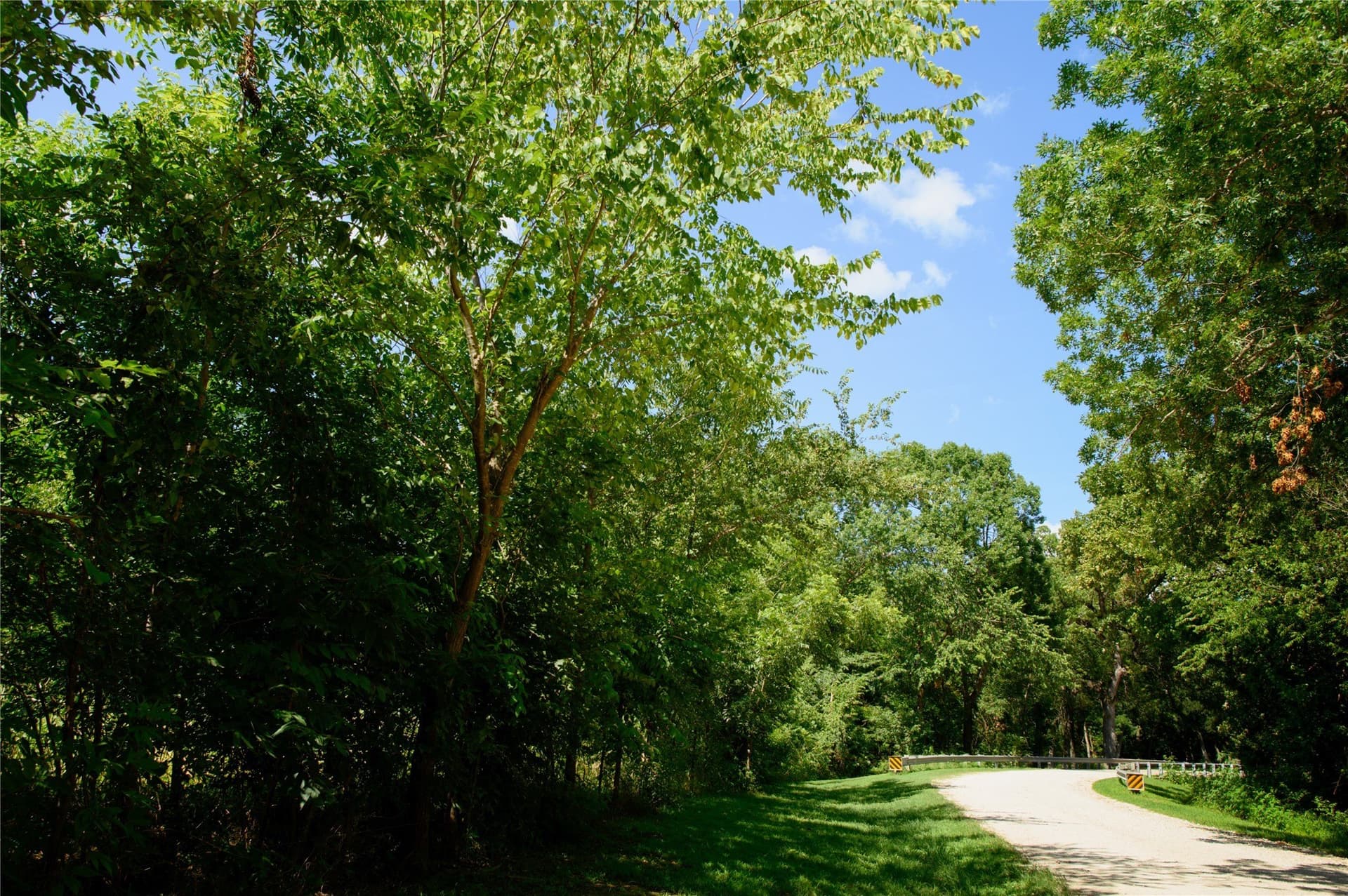 20 acres in Grayson County - photo 8