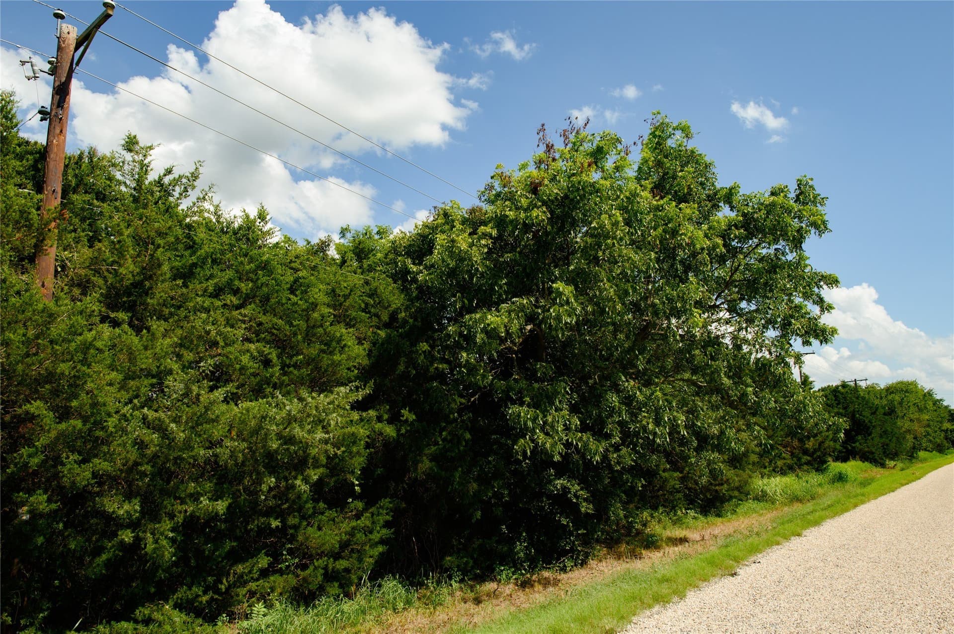 20 acres in Grayson County gallery image 2