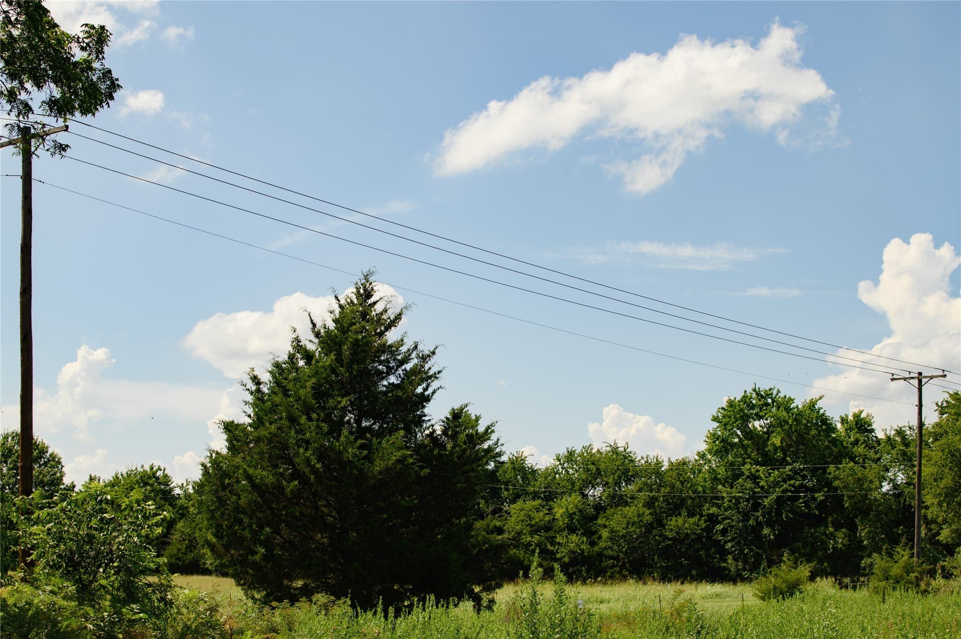 20 acres in Grayson County - photo 6
