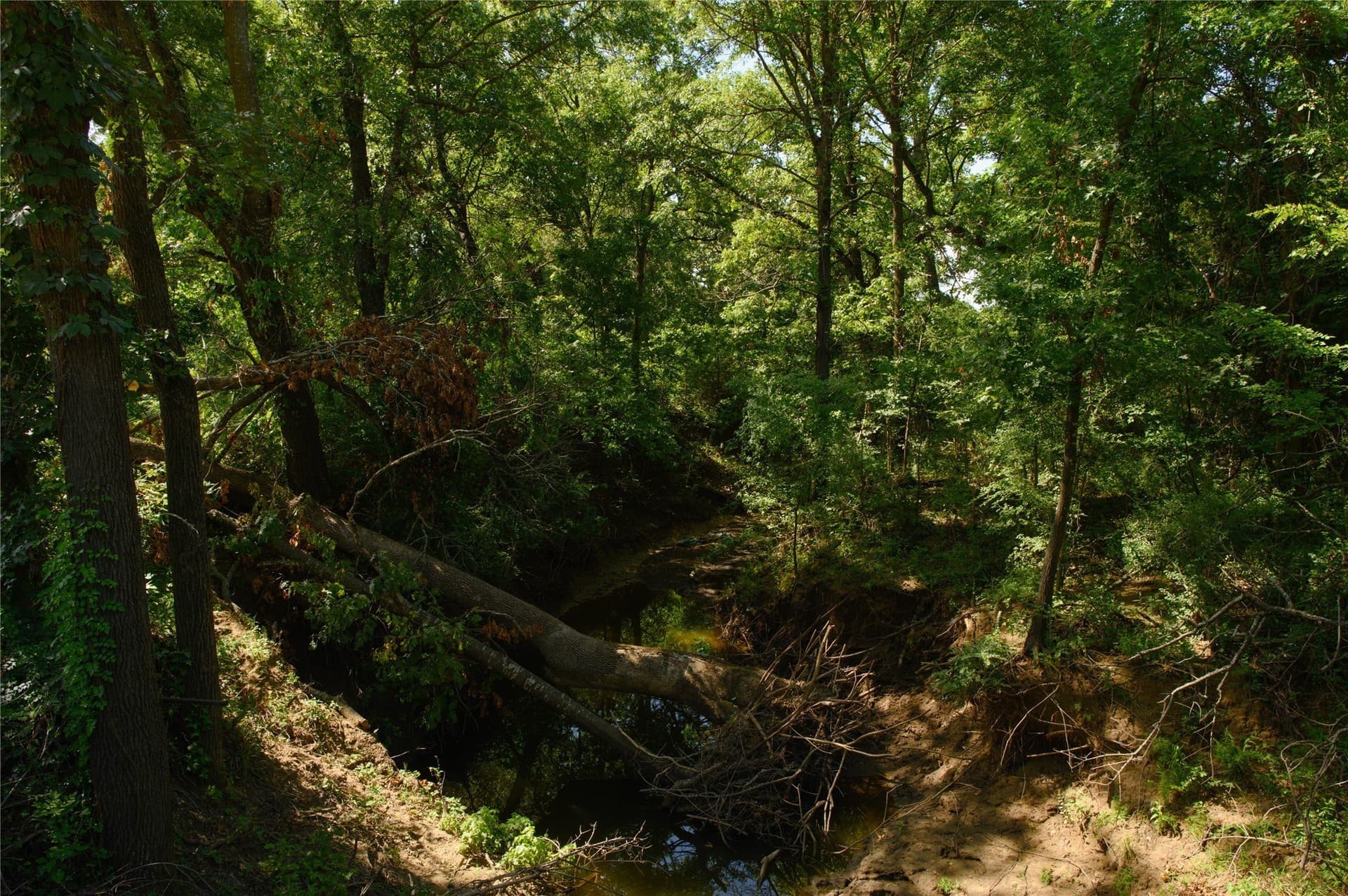 20 acres in Grayson County - photo 9
