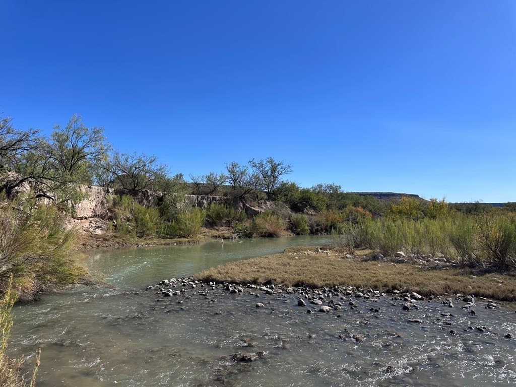 276.9 acres in Crockett County gallery image 2