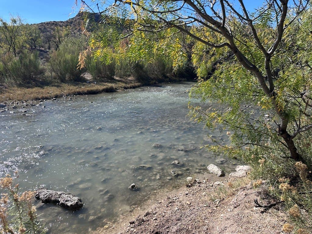 276.9 acres in Crockett County featured view