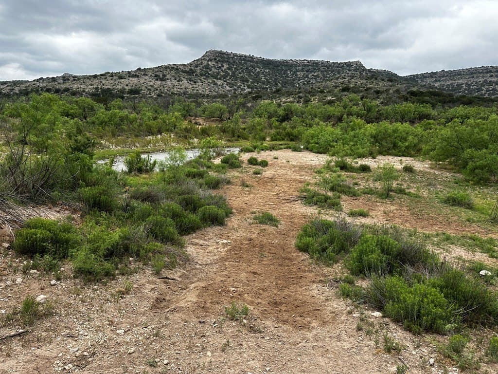 276.9 acres in Crockett County - photo 6