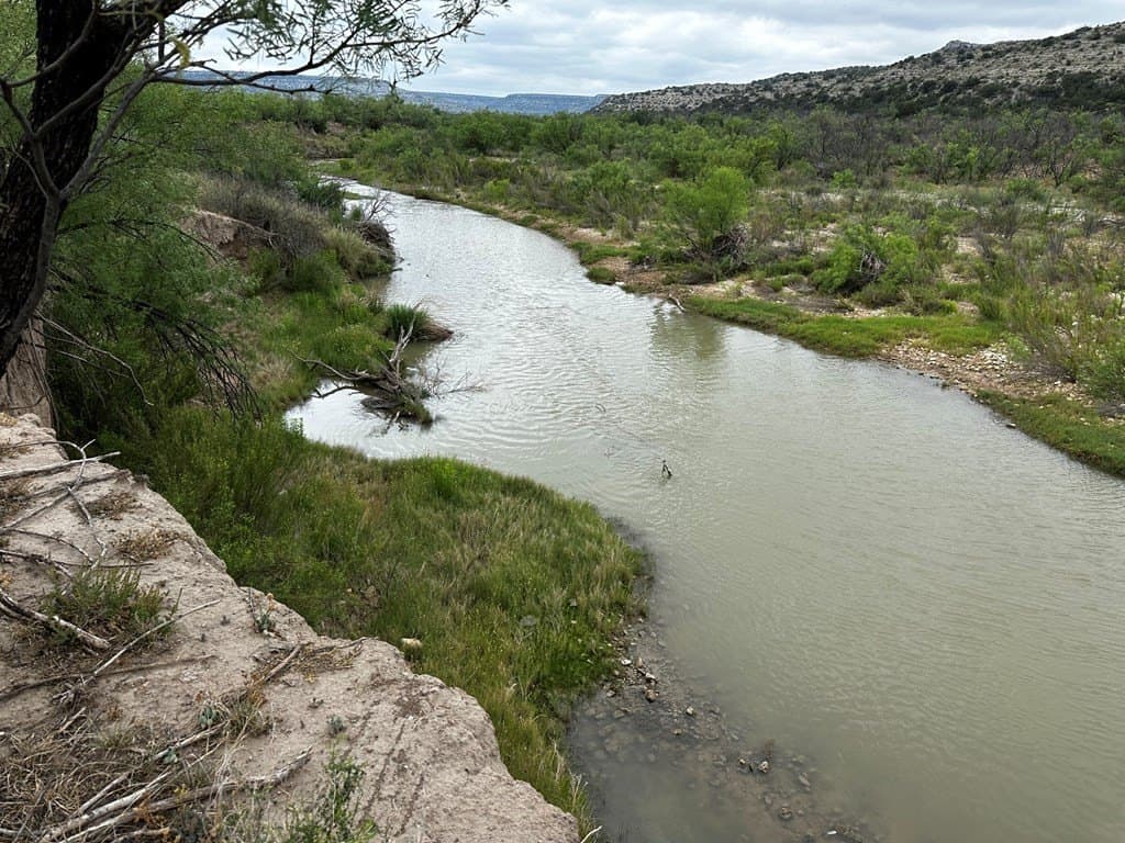 276.9 acres in Crockett County - photo 13