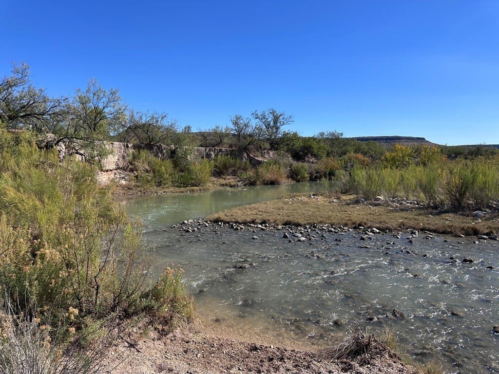 276.9 acres in Crockett County gallery image 4