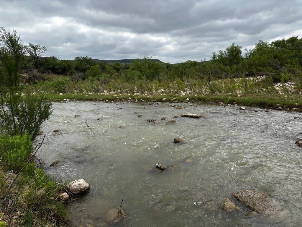 276.9 acres in Crockett County - photo 10