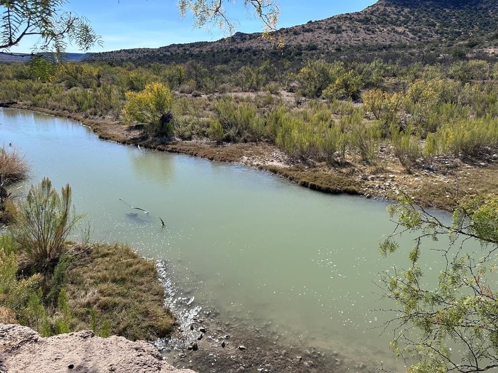 276.9 acres in Crockett County