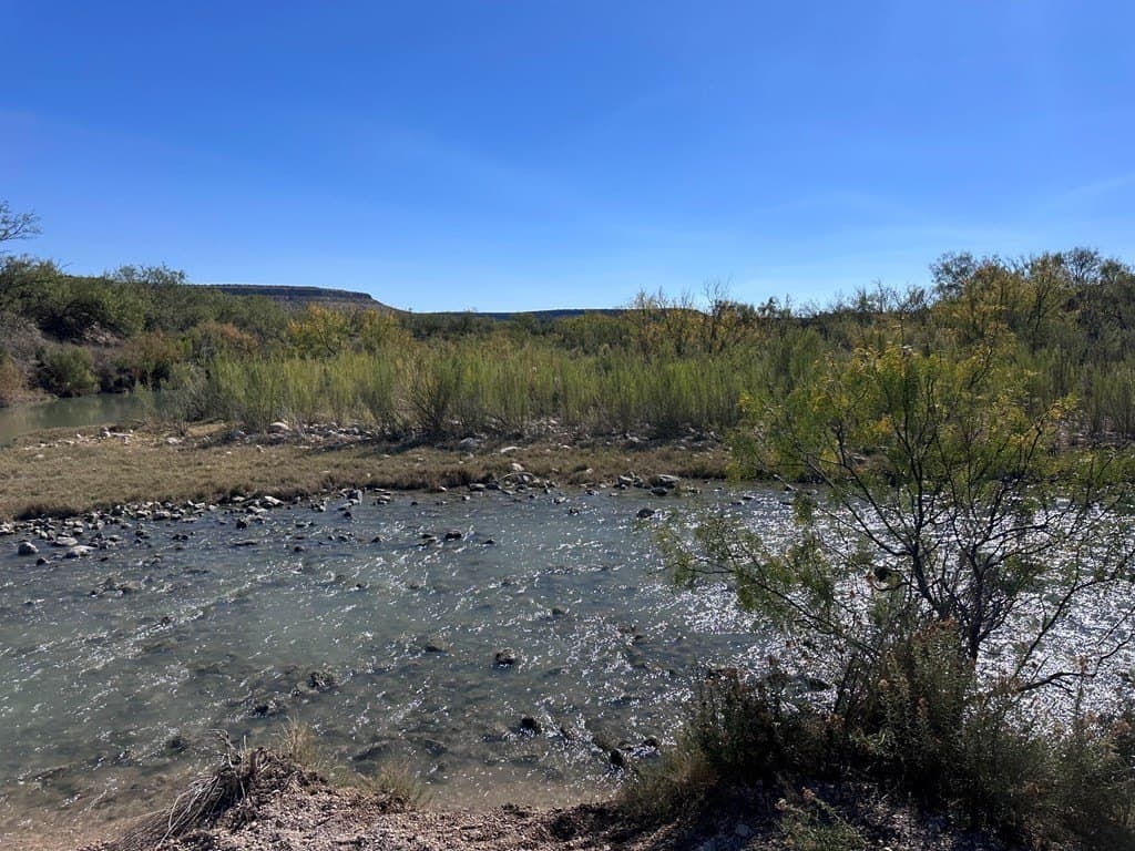 276.9 acres in Crockett County gallery image 3