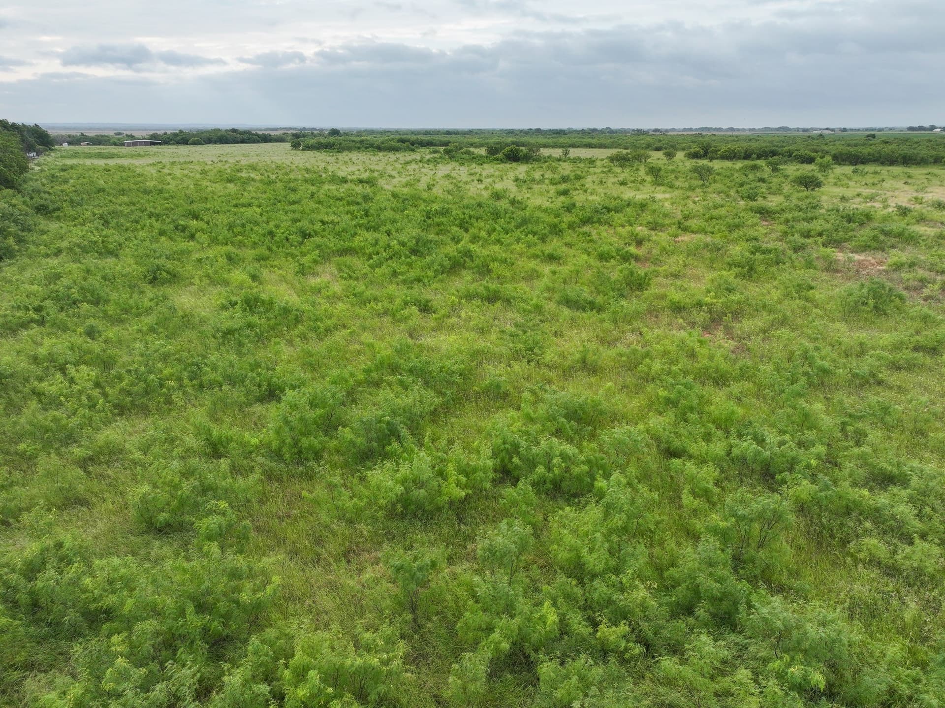 1.46 acres in Taylor County - photo 4