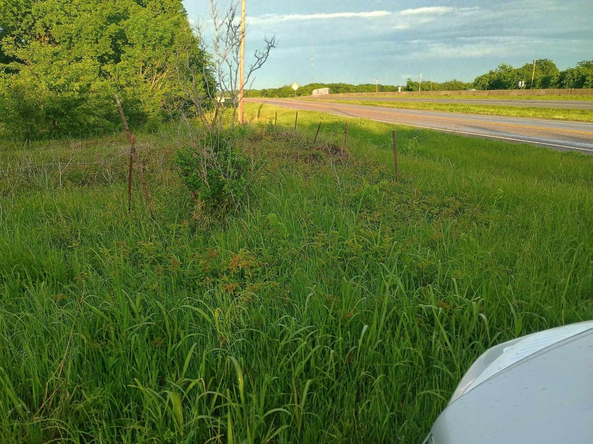 6.91 acres in Hunt County gallery image 4