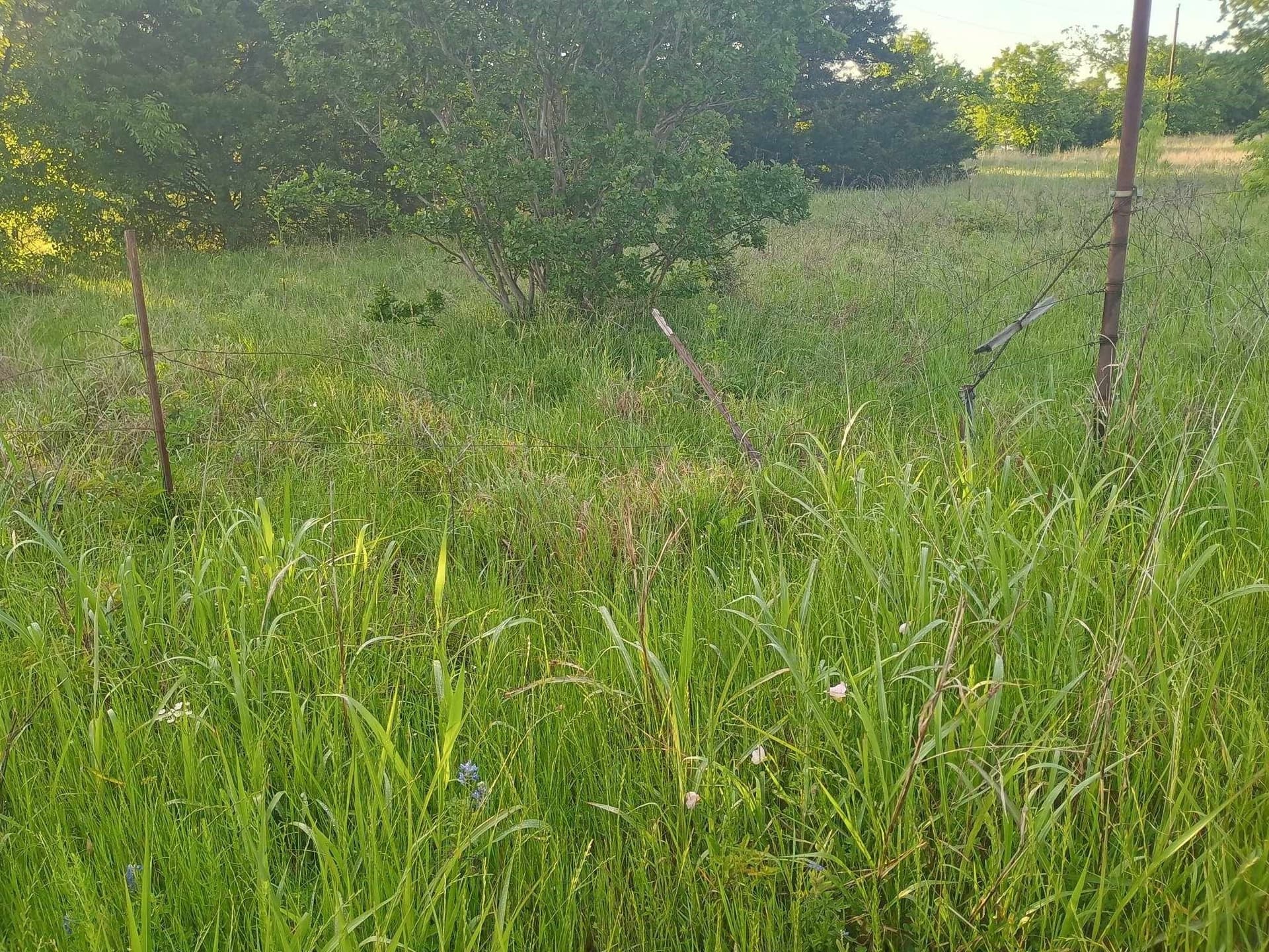 6.91 acres in Hunt County gallery image 3