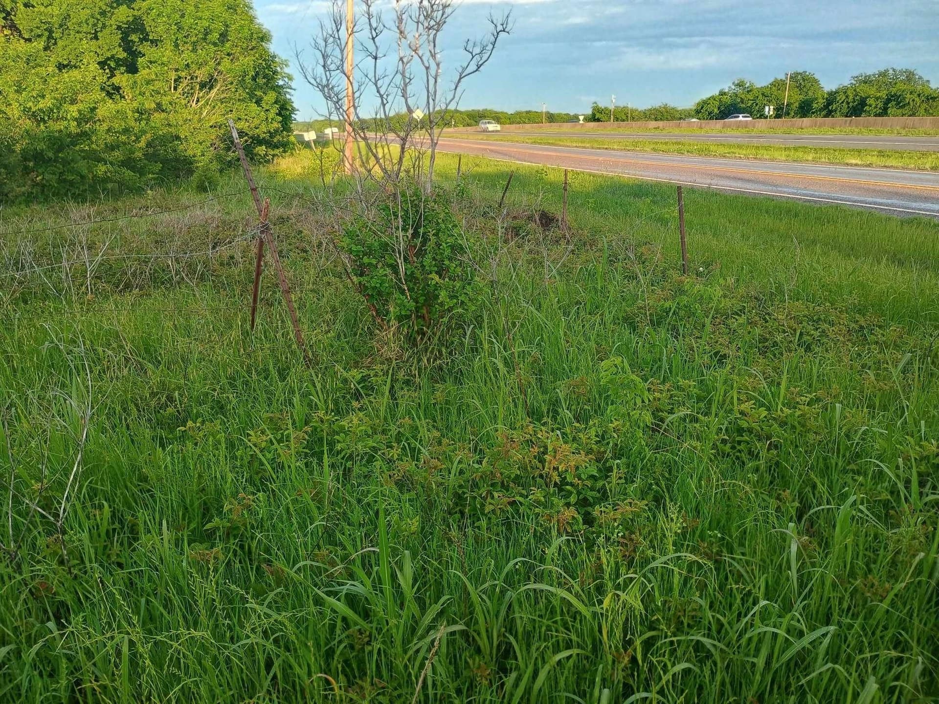 6.91 acres in Hunt County featured view