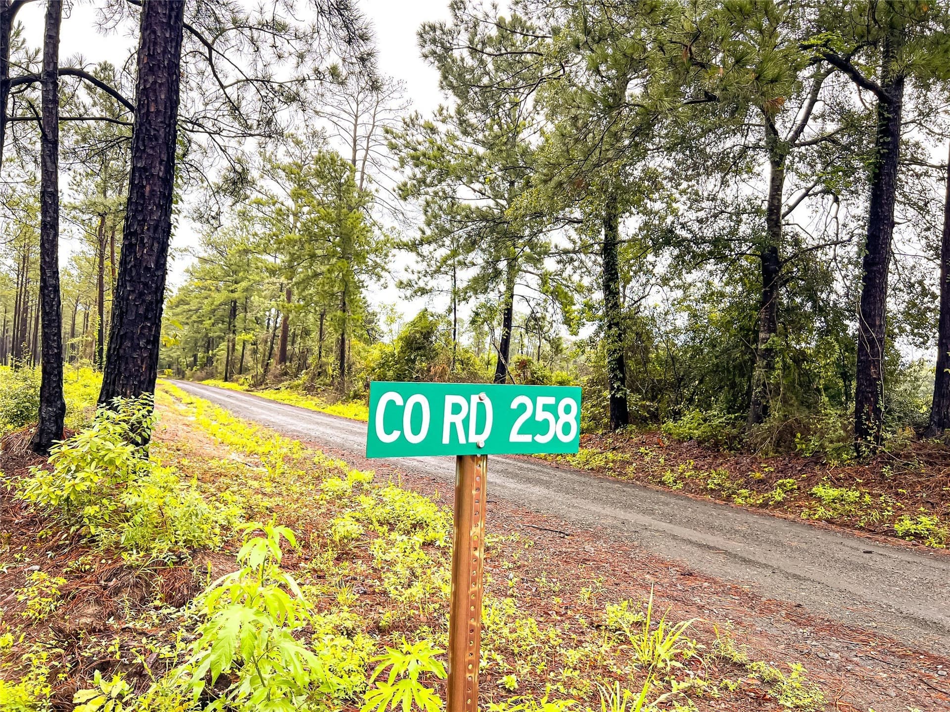 29 acres in Jasper County - photo 14
