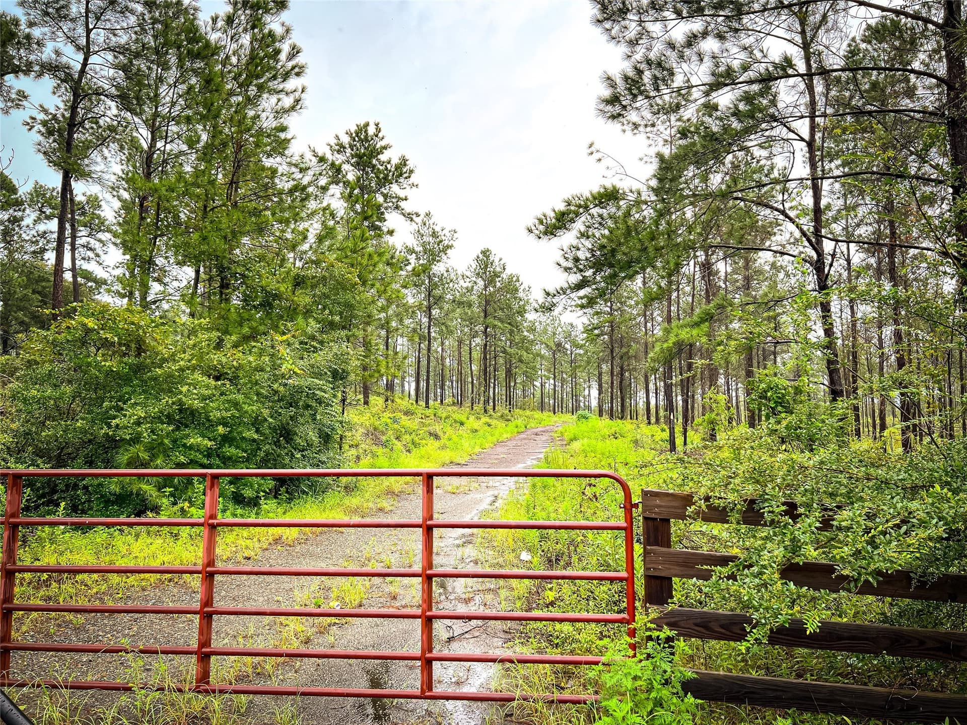 29 acres in Jasper County - photo 16